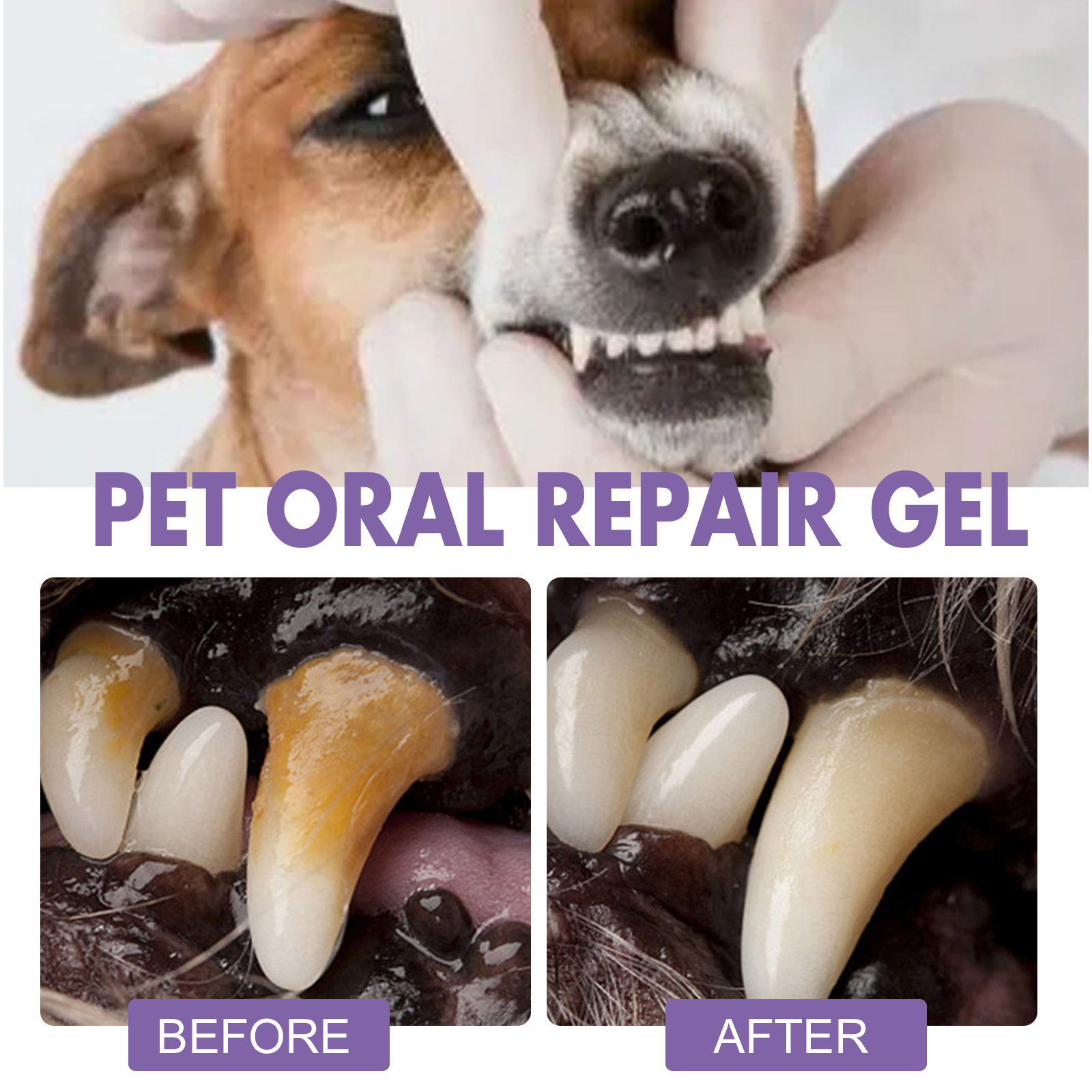Pet Oral Repair Gel Puppy Tart - Teeth Whitening Hismile recensie en prijs