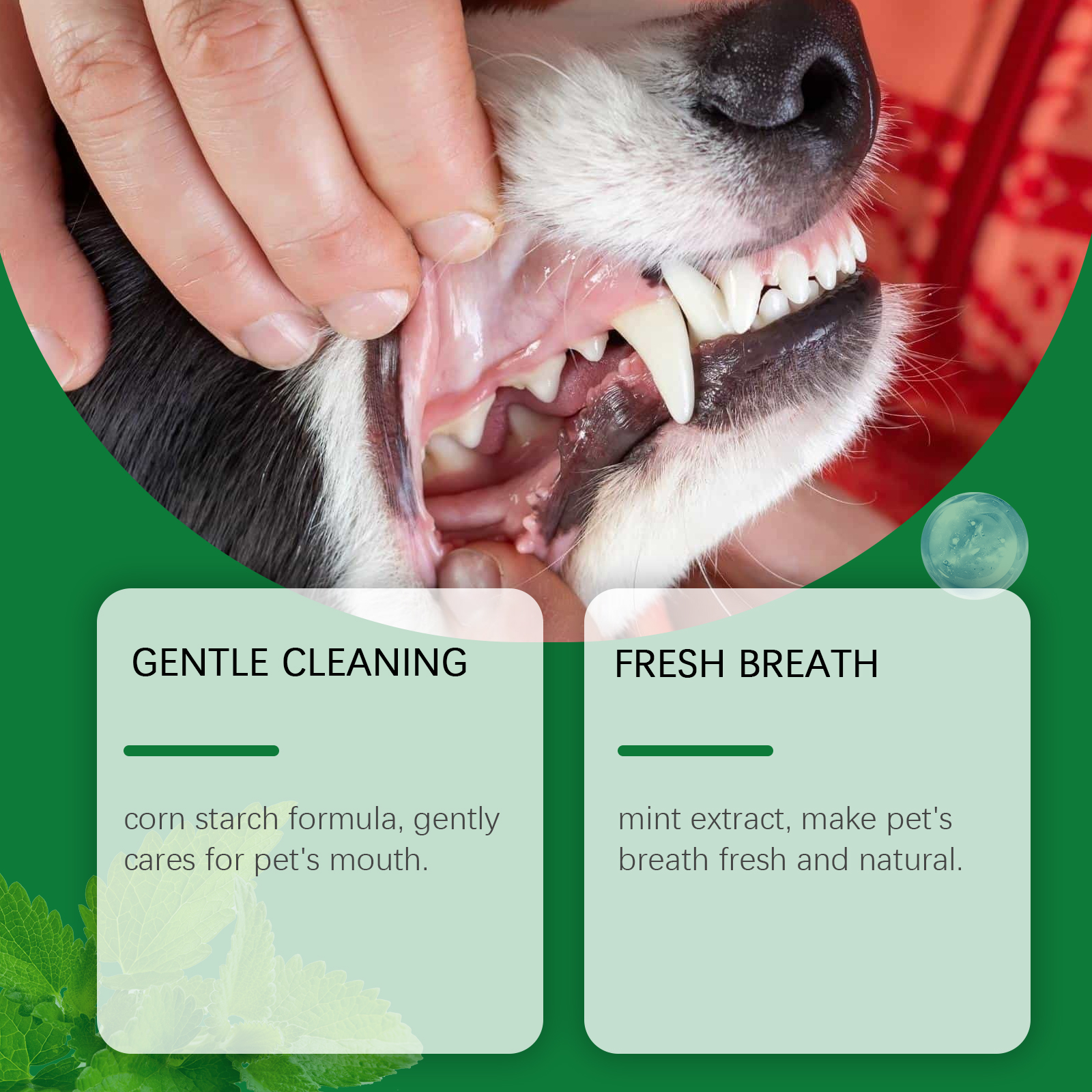 Pet Teeth Cleaning Powder Redu - Teeth Whitening Hismile recensie en prijs