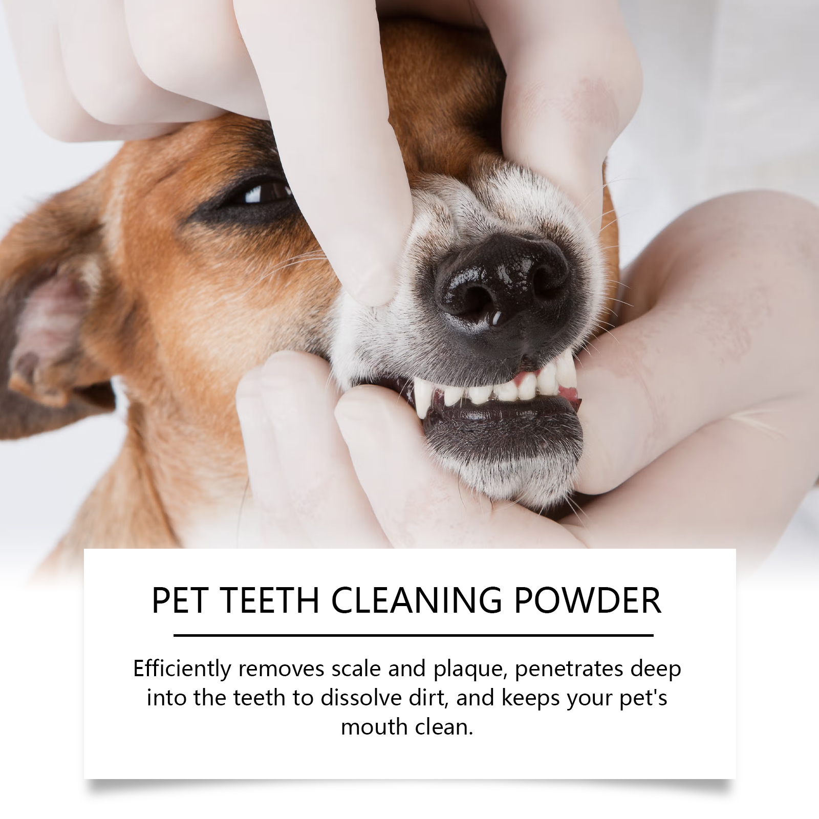 Pet Teeth Cleaning Powder Redu - Teeth Whitening Hismile recensie en prijs